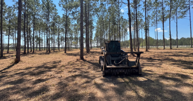 Forestry Services Slider